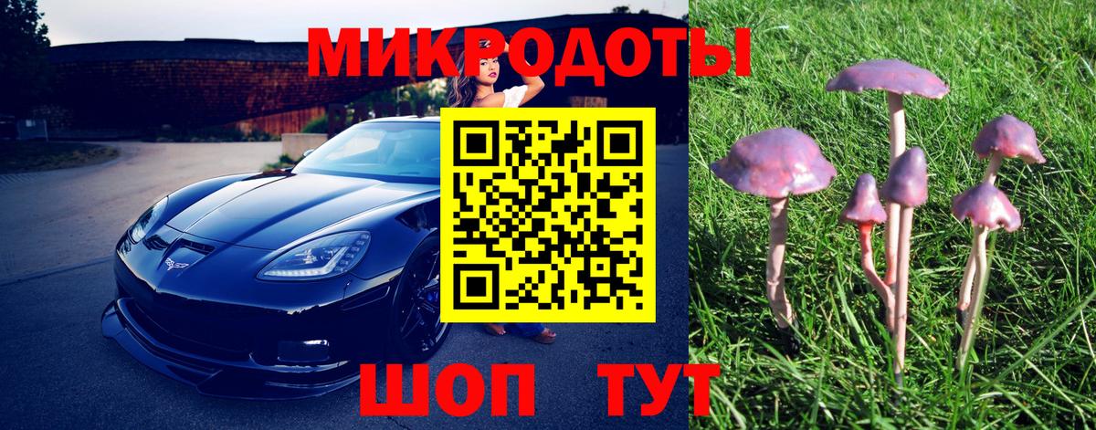 Псилоцибиновые грибы мицелий Губкин