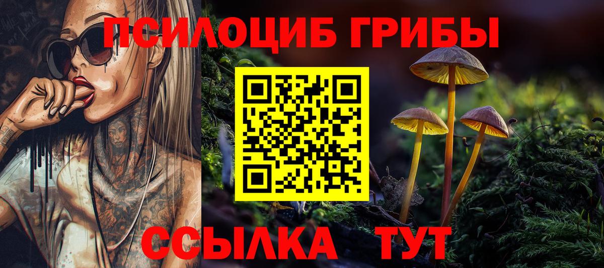 Псилоцибиновые грибы Psilocybine cubensis  Вход с VPN  Губкин 